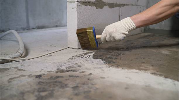 Top rated local Waterproofing specialists in Triangle, VA